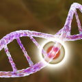 Understanding Genetic Factors in Mesothelioma